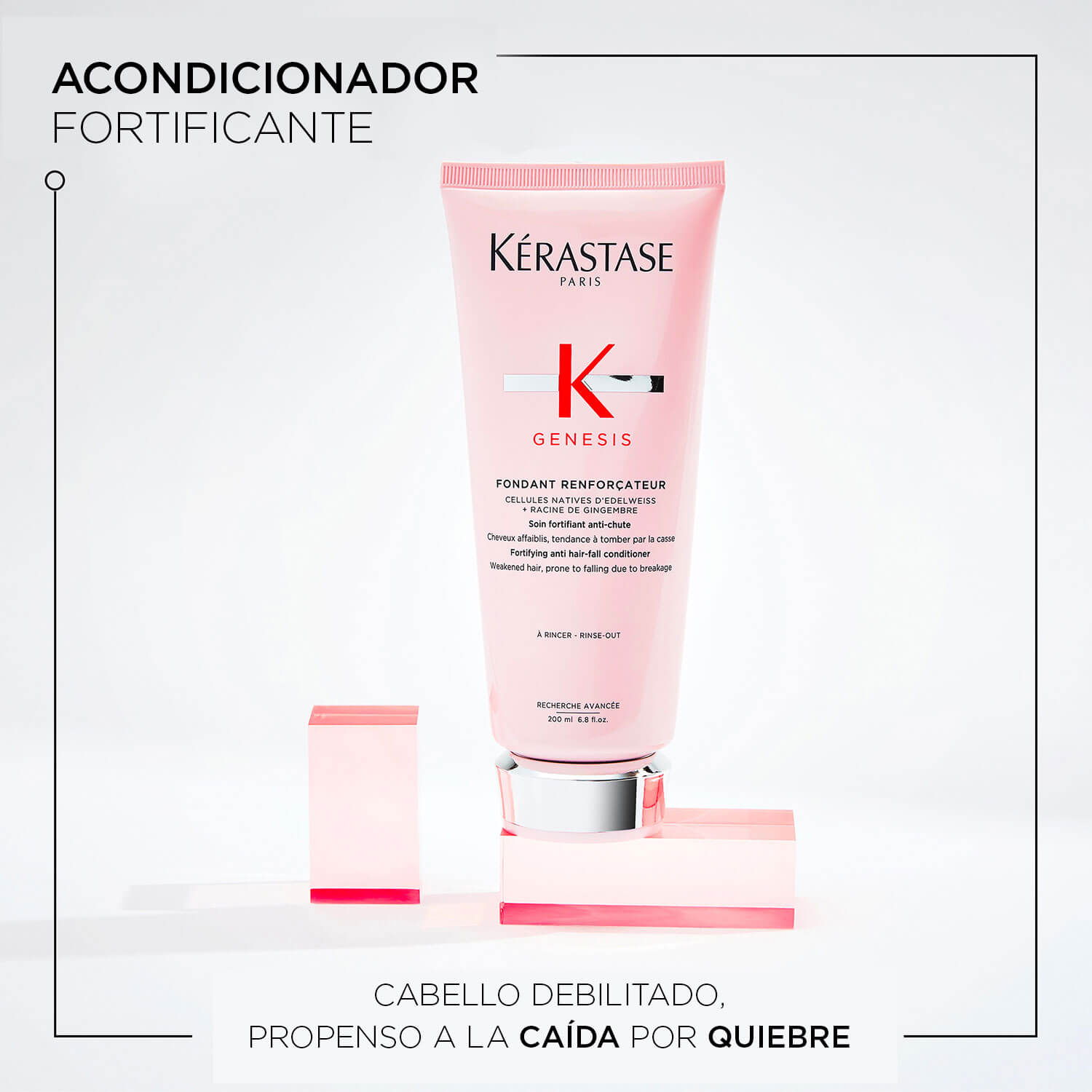 GENESIS FONDANT RENFORCATEUR (ACONDICIONADOR)